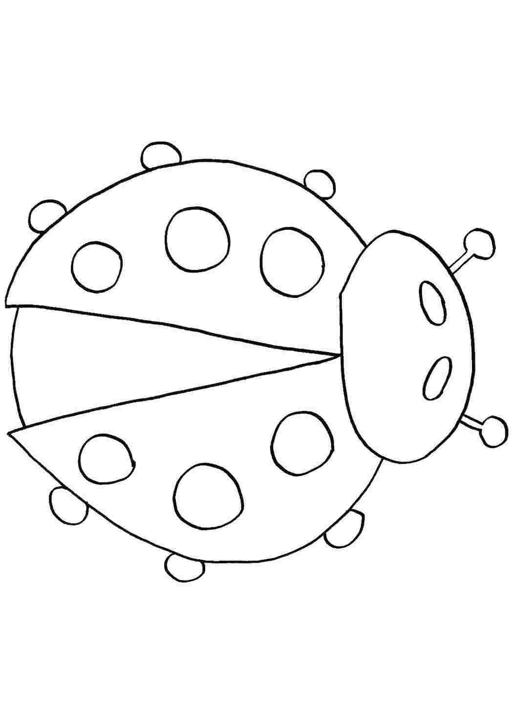 Раскраски Божья коровка Божья коровка Божья коровка, жук