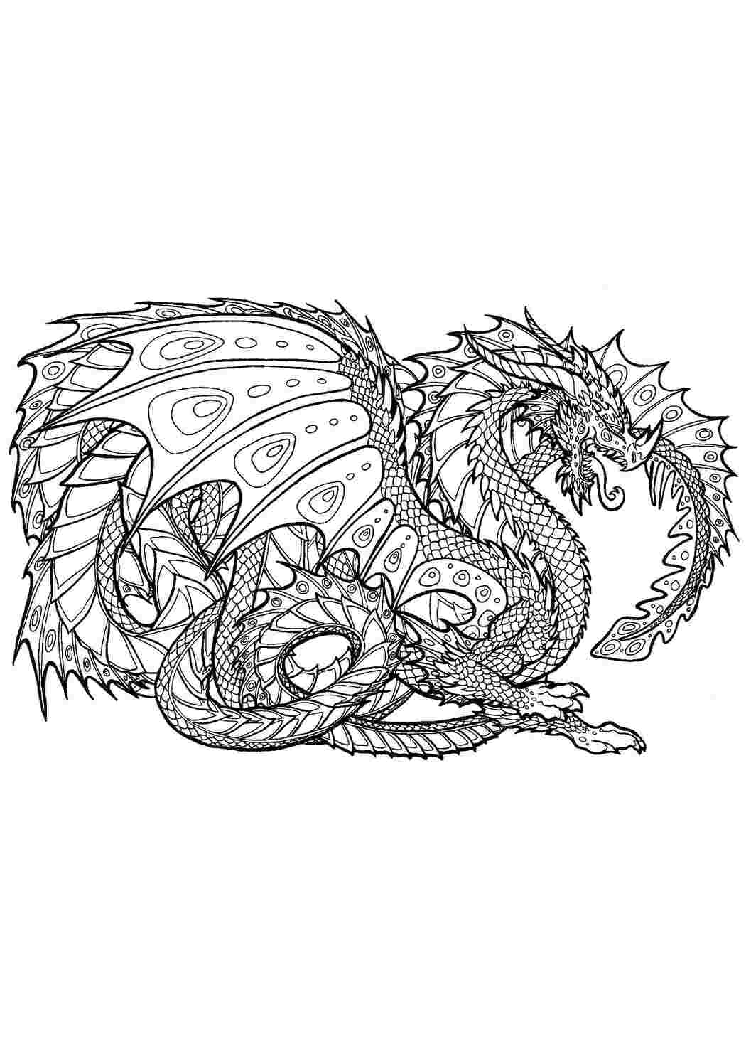 Картинки раскраски дракон дракон (55 фото)
