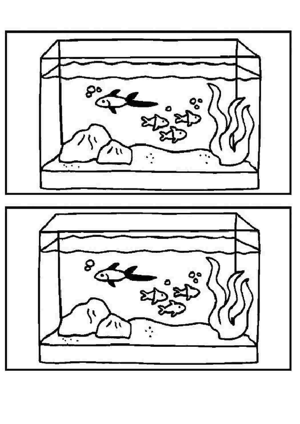 Раскраски Загадка-раскраска раскраски найди отличия загадка, на мышление, логика, отличия, рыбки, аквариум