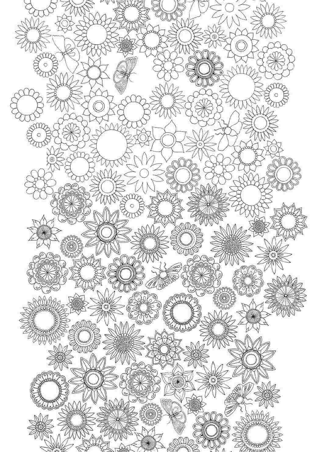 Раскраски Орнамент цветы и бабочки Орнамент цветы и бабочки  Раскраска цветок