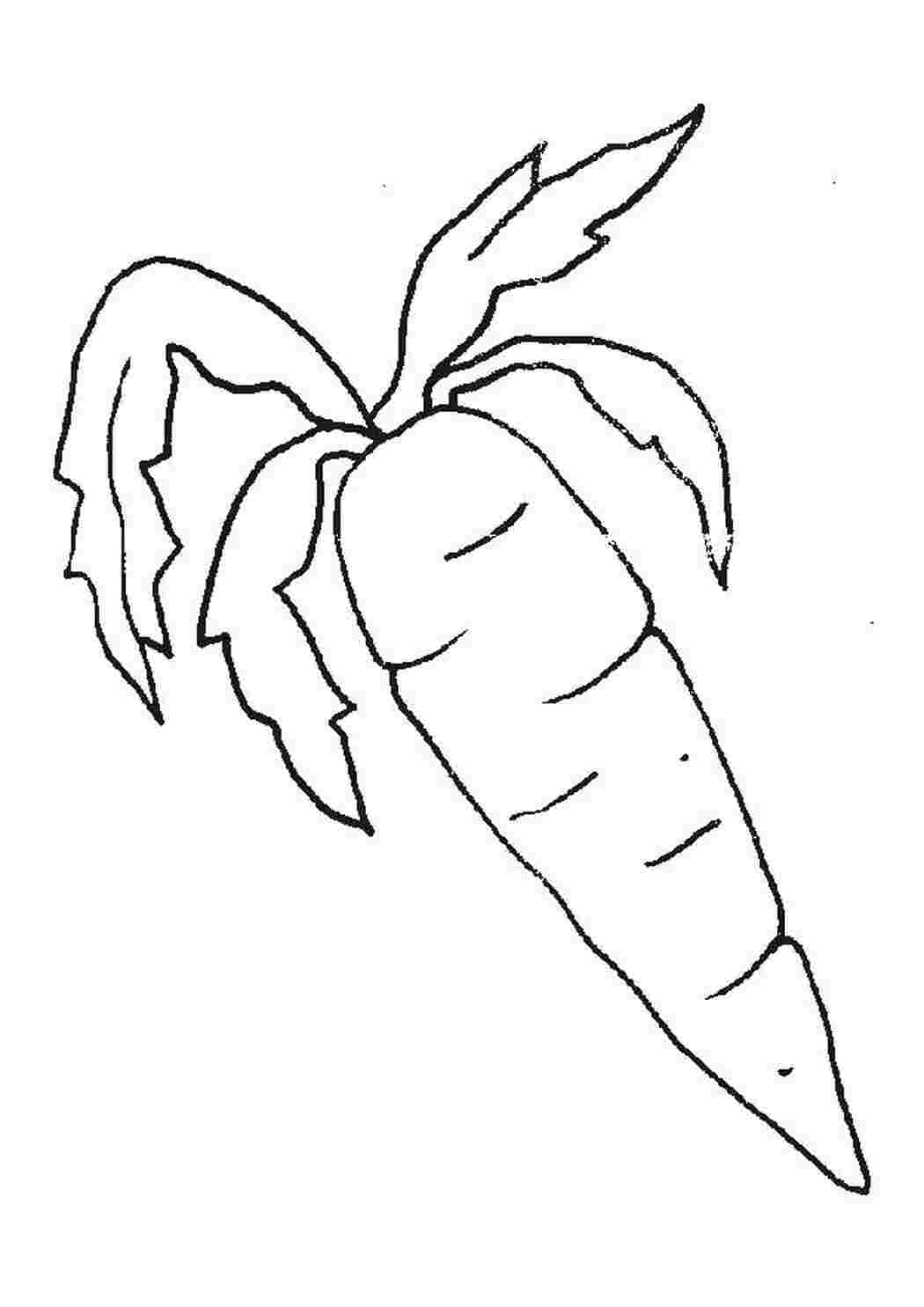 морковка морковка