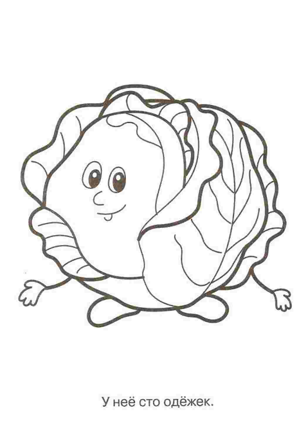 овощи овощи, капуста