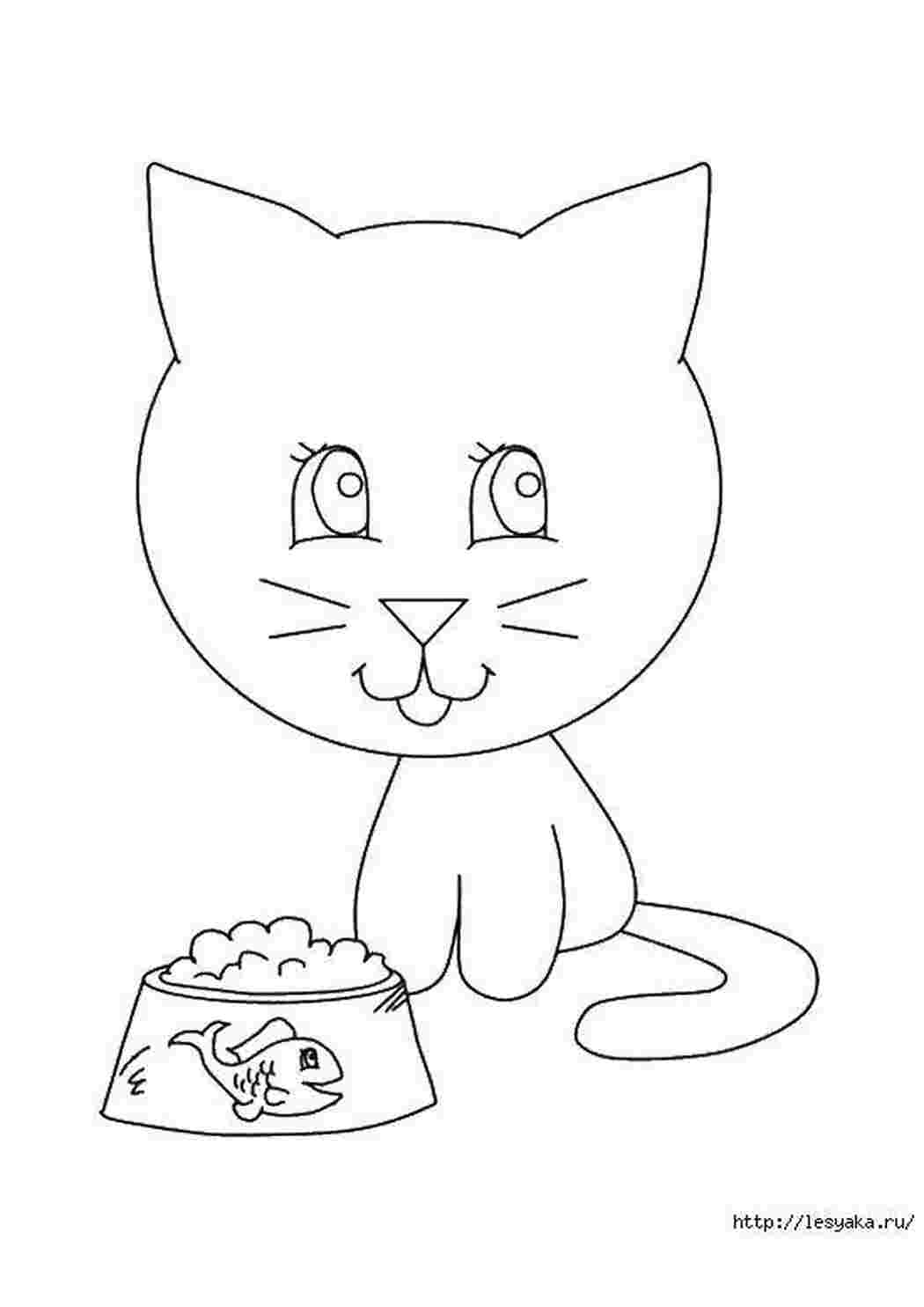 котики кошки, кошечки, миска