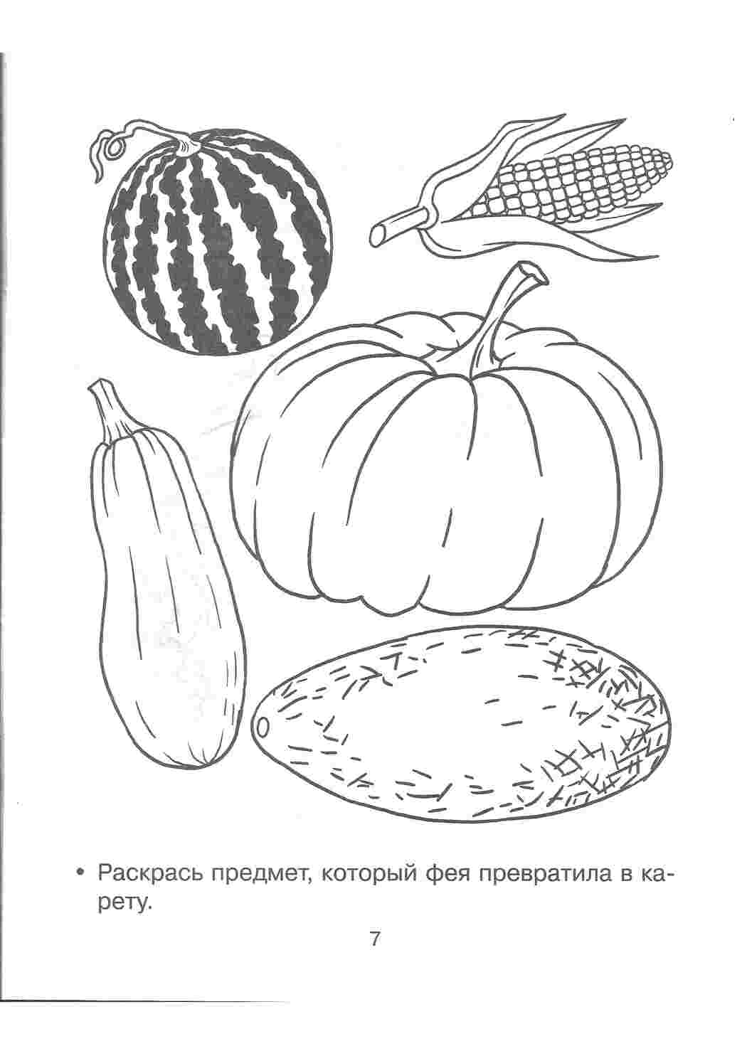 Раскраски Развивающая книжка-раскраска. раскрась предмет который фея превратила в корету Развивающая книжка-раскраска. раскрась предмет который фея превратила в корету  Раскраски скачать онлайн