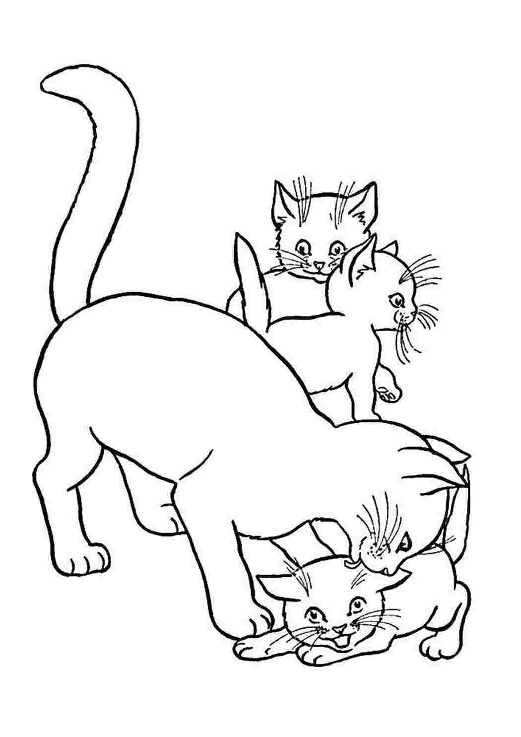 Раскраски Кошка с котятами котята и щенки кошка, котята
