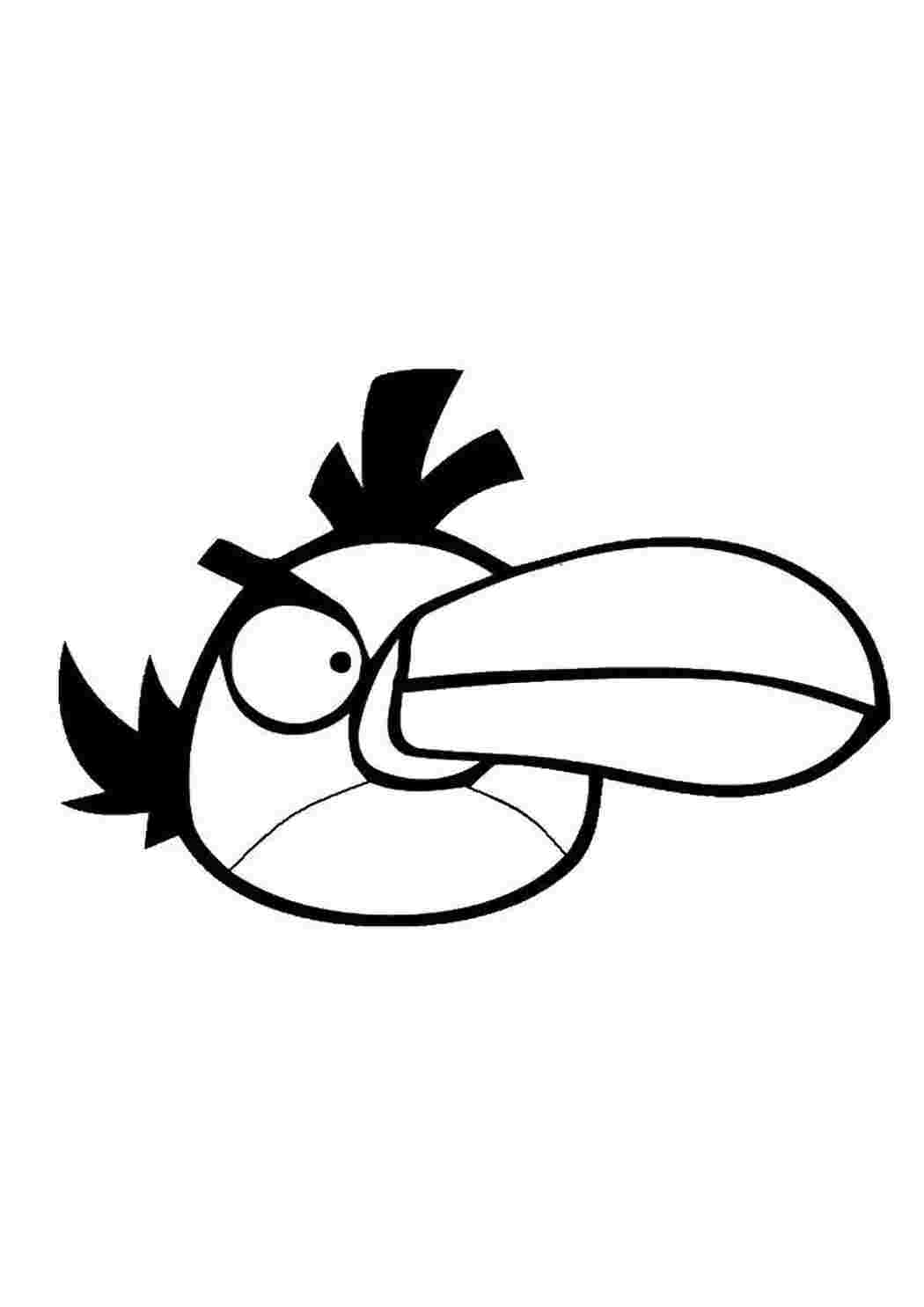 Раскраски Тукан angry birds Игры, Angry Birds 