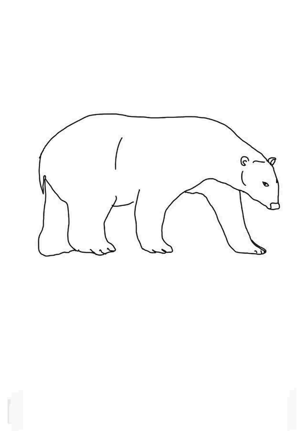 Раскраска онлайн Белые медведи бесплатно