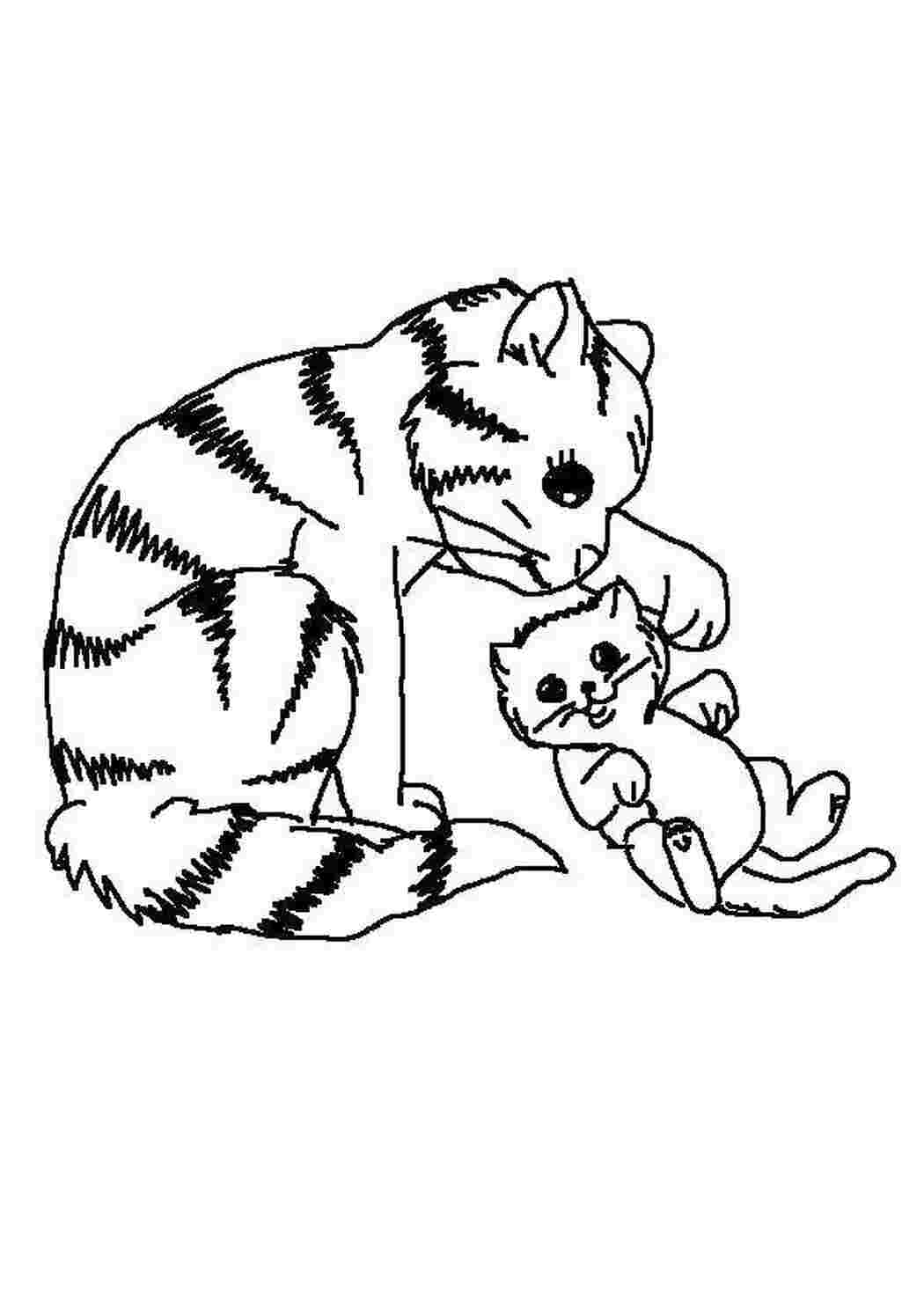 Раскраски Кошка со своим котенком Коты и котята животные, котенок, кошка