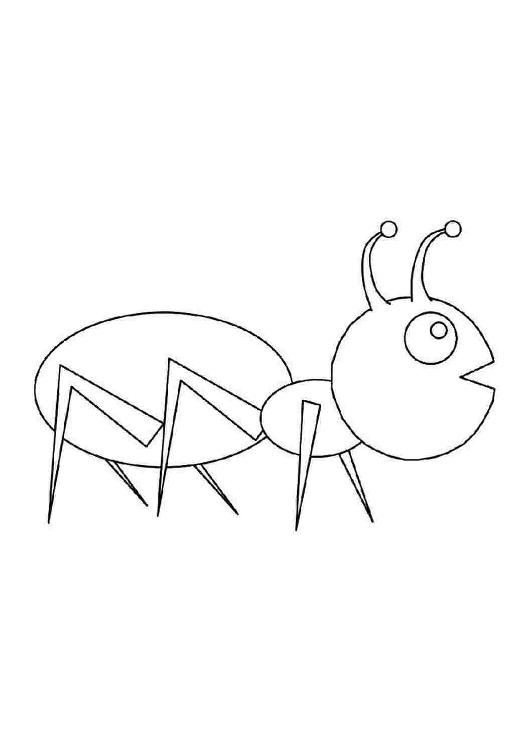 Раскраски Муравей муравей Насекомые, муравей