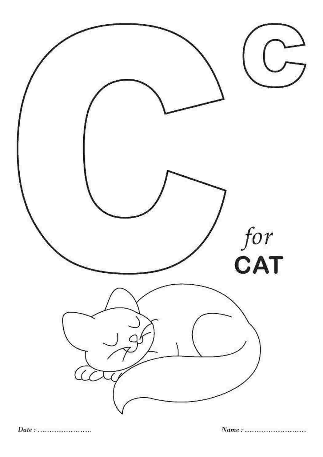Английский алфавит cat, кошка, животные, алфавит