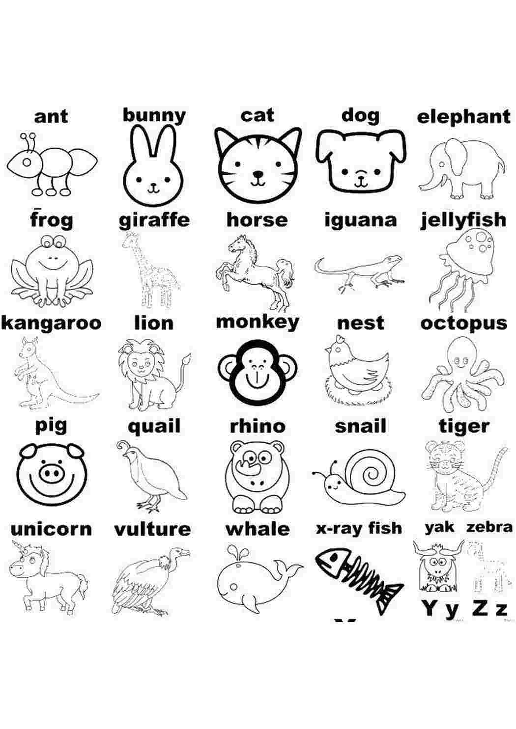 Раскраски Животные на английском Английский алфавит алфавит, буквы, животные