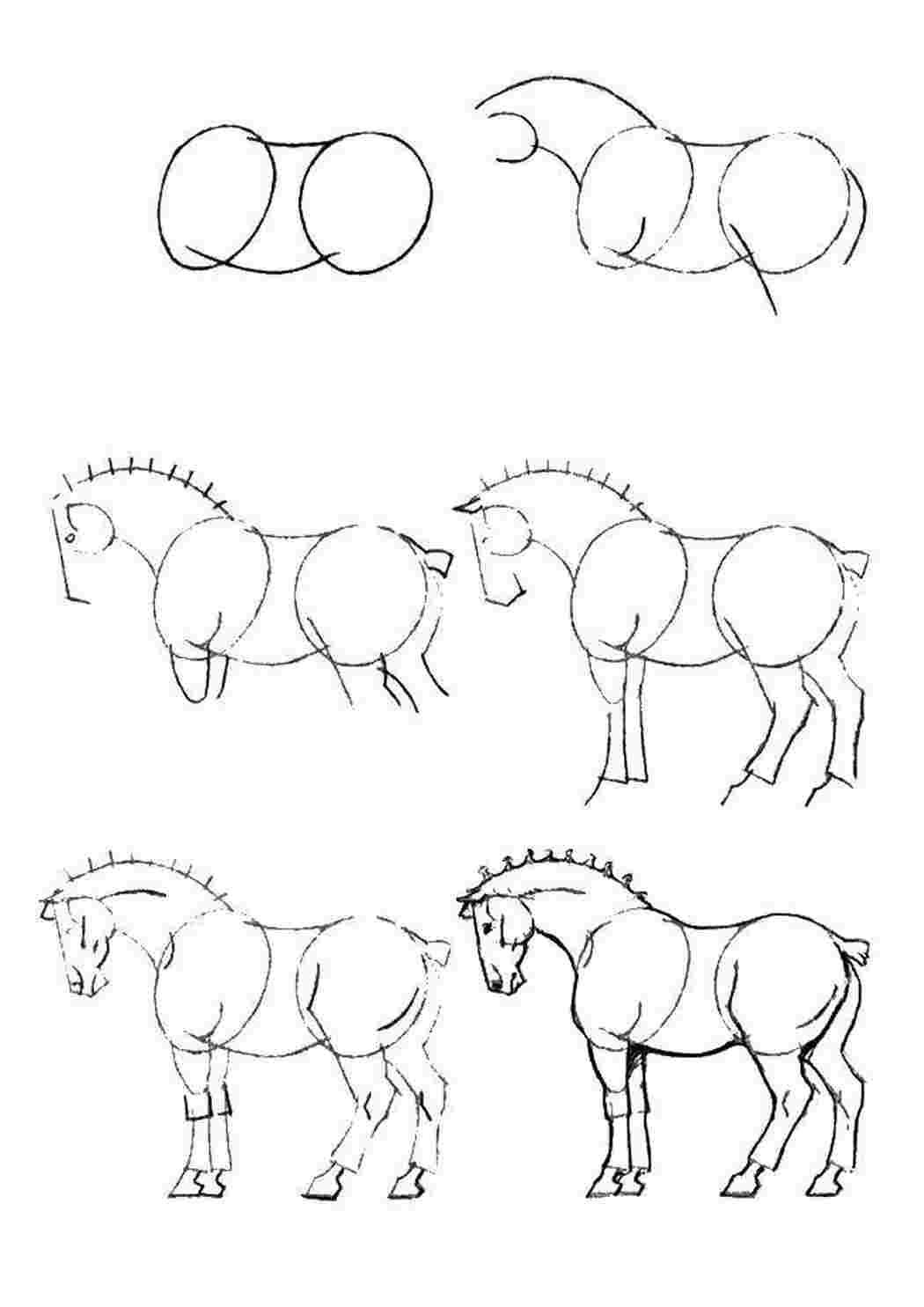 Раскраски Как нарисовать лошадь как нарисовать поэтапно животных как нарисовать, животные, лошади