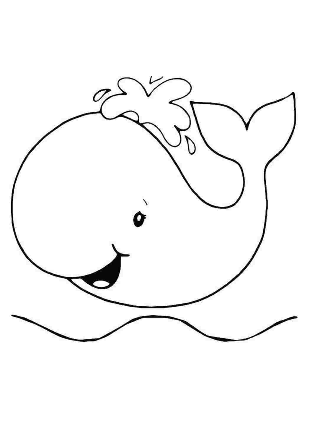 кит Подводный мир, рыба, кит