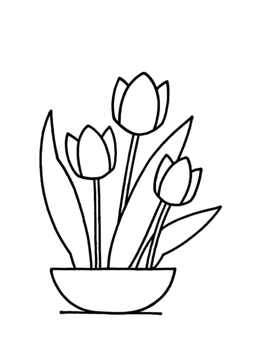 Раскраски Три тюльпана в горшке Ваза Цветы, тюльпаны