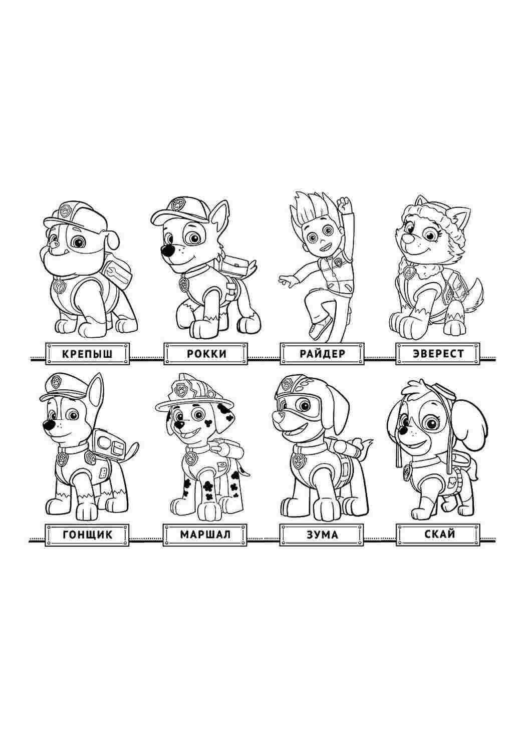 Раскраски Имена собачек из щенячьего патруля щенячий патруль щенячий патруль, мультфильмы, персонажи