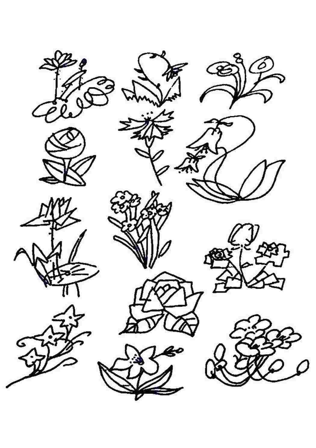 Раскраски Разные цветочки растения растения, цветы, цветочки