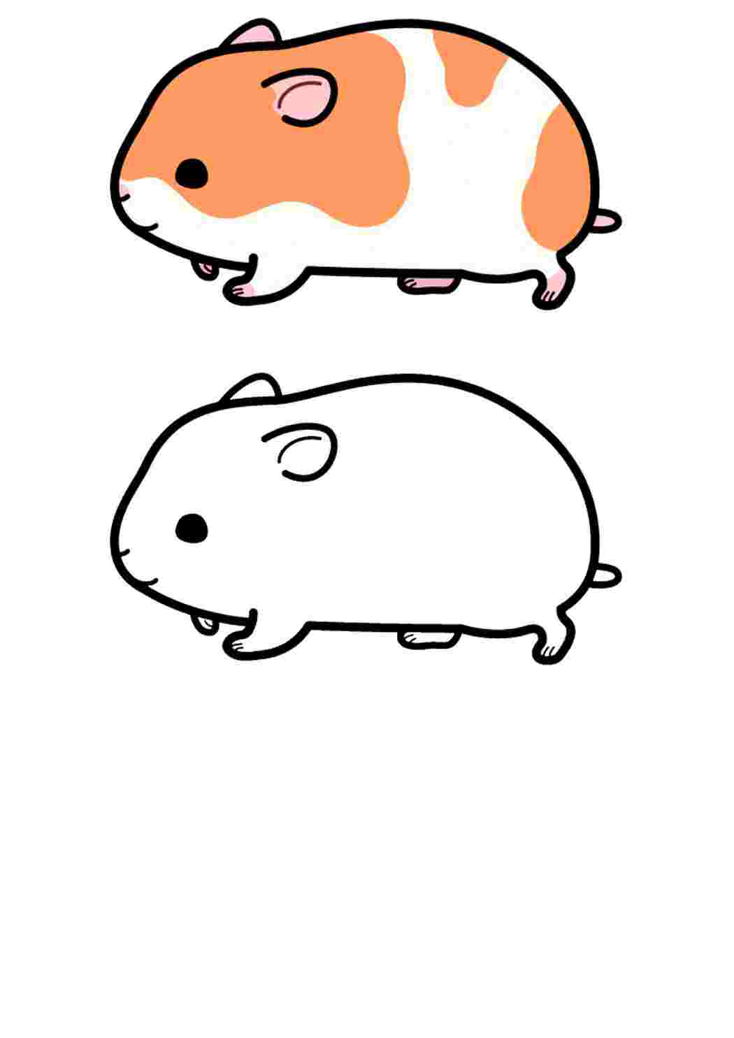 Лучшие бесплатные раскраски Hamster для детей