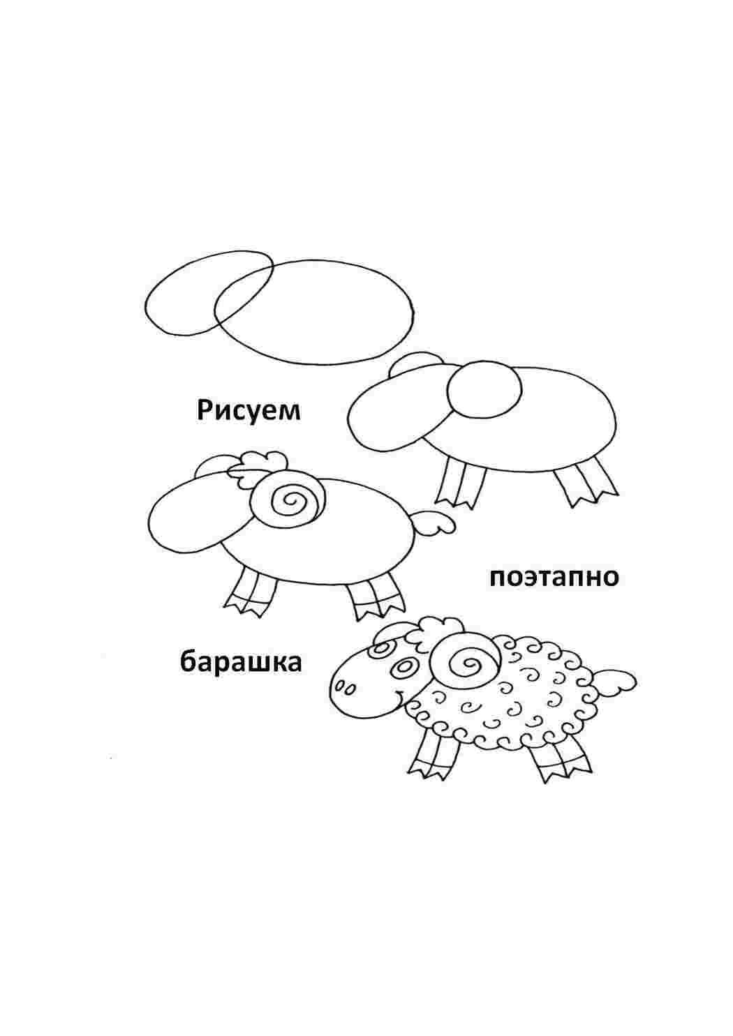 Раскраски Поэтапно рисуем барашка как нарисовать поэтапно животных Животные, барашек