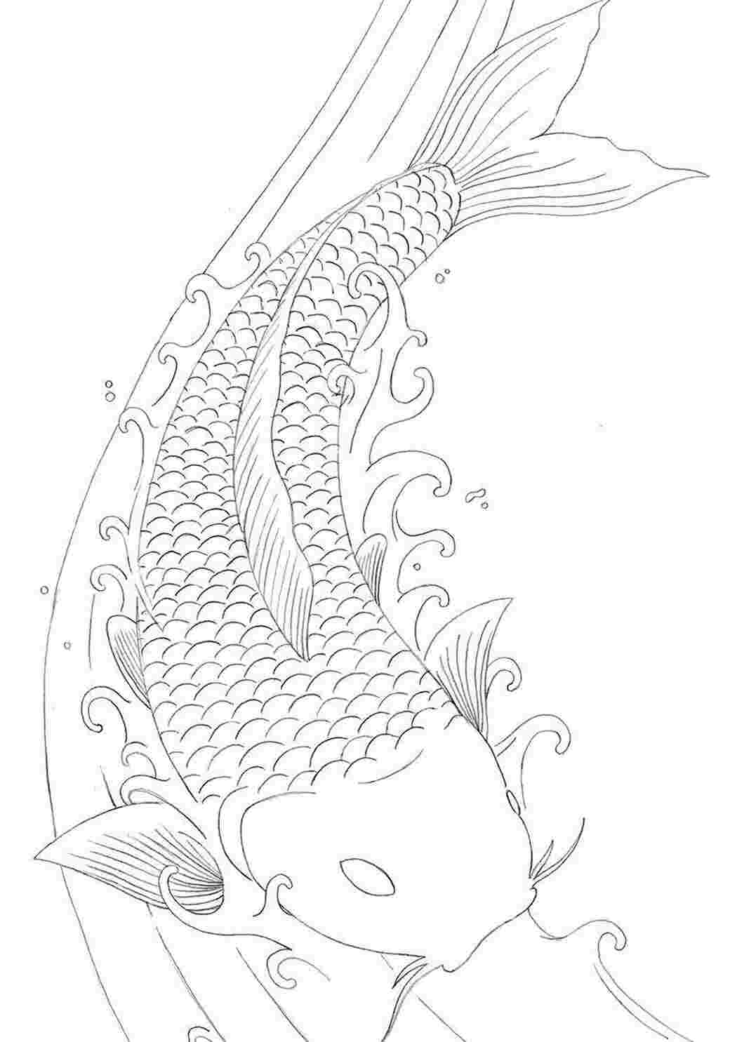 Рыба сом — рисунок для детей