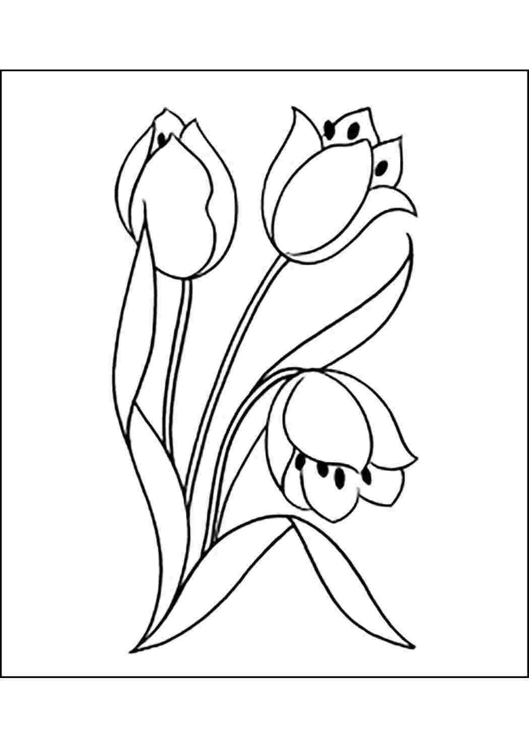 Раскраска Букет тюльпанов
