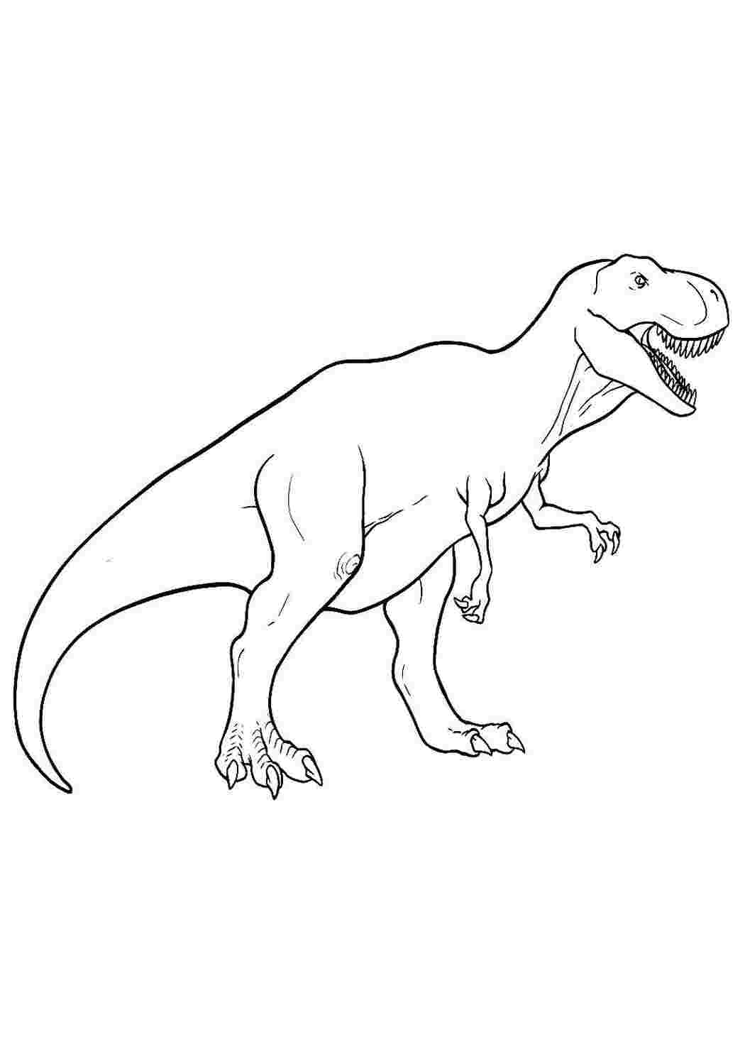 Раскраски Тираннозавр рекс динозавр Рекс