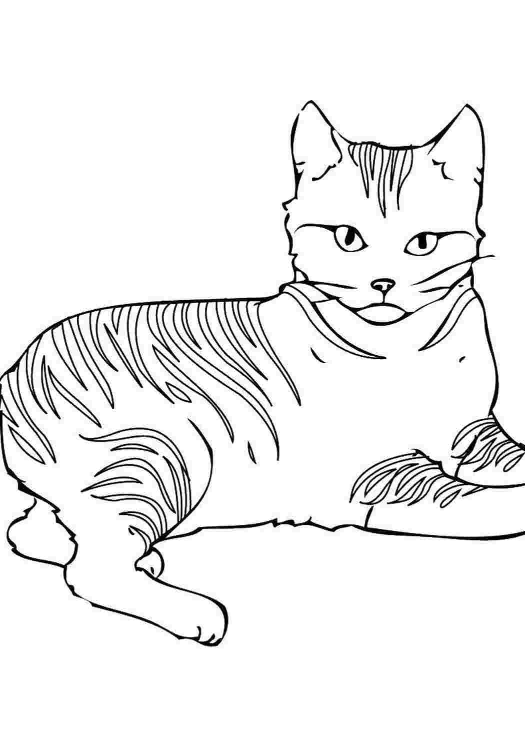 Раскраски Кошка лежит Коты и котята животные, котенок, кошка
