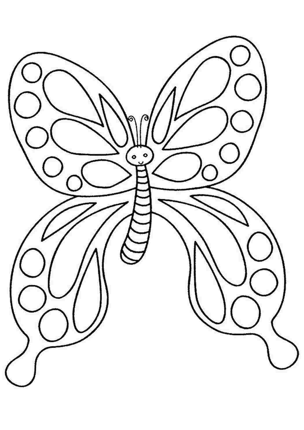 Раскраски Бабочка бабочки бабочка