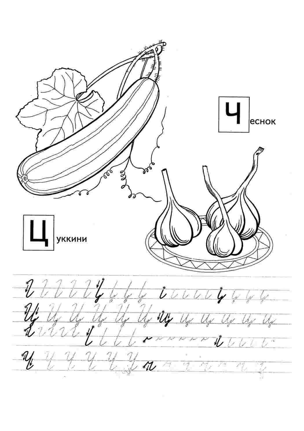 Раскраски Раскраска цуккини и чеснок. раскраска овощи с огорода, прописи для детей, скачать прописи, детские прописи, прописи для дошкольников Раскраска цуккини и чеснок. раскраска овощи с огорода, прописи для детей, скачать прописи, детские прописи, прописи для дошкольников  Раскраски скачать онлайн
