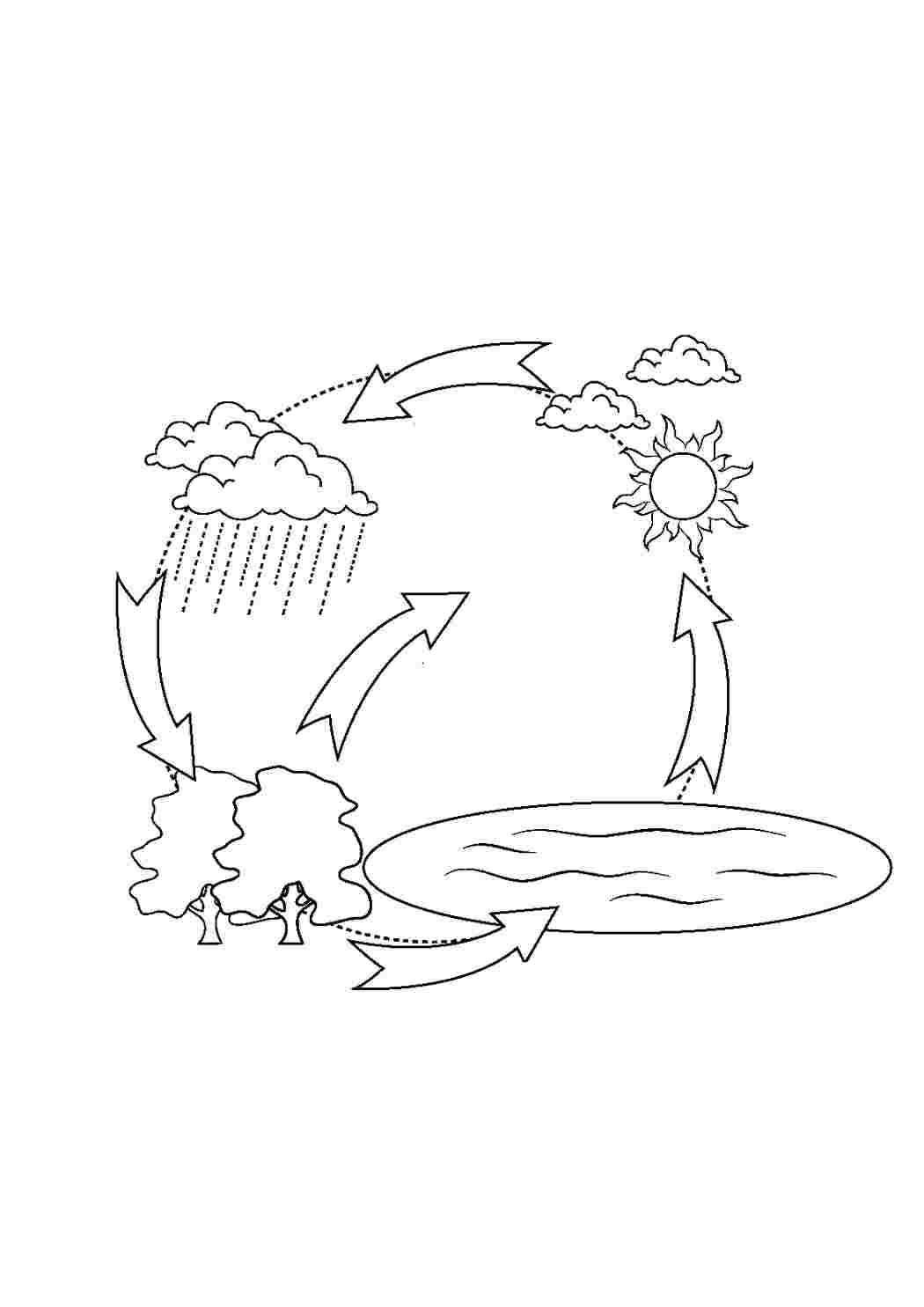 Раскраски Раскраски со схемами круговорота воды в природе для занятий по раннему развитию детей изучаем окружающий мир. Явления природы