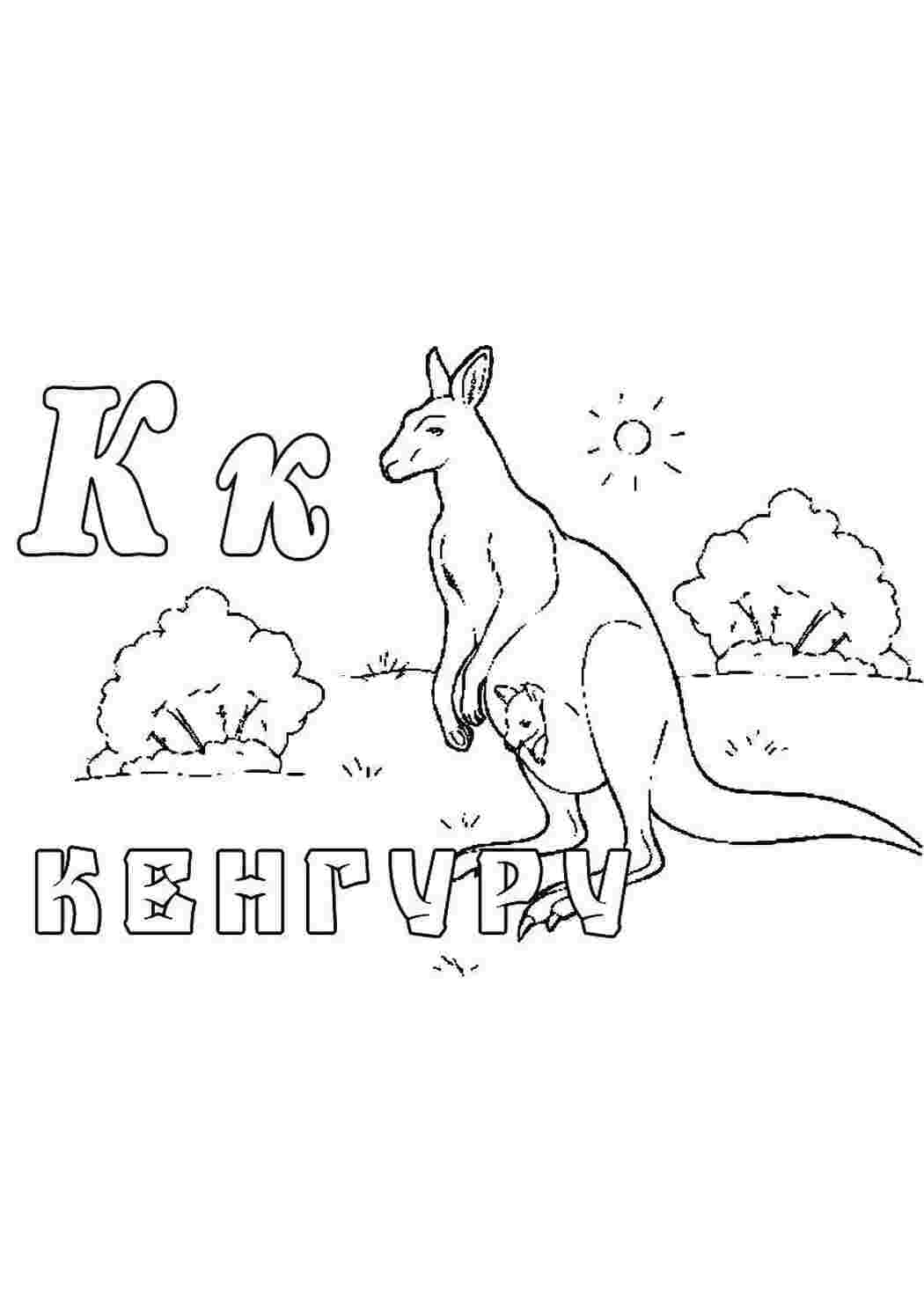 Раскраски Кенгуру Животные кенгуру, животные, Кк