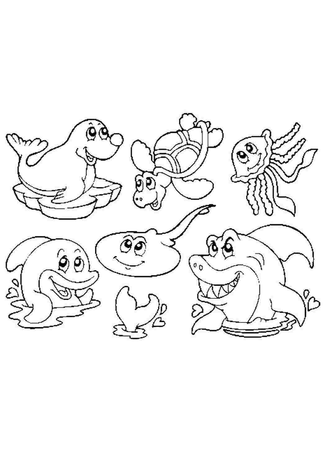 Морские животные Подводный мир