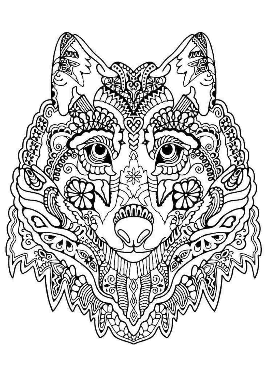 Раскраски Голова волка в узорах раскраски антистресс голова, волк, узоры