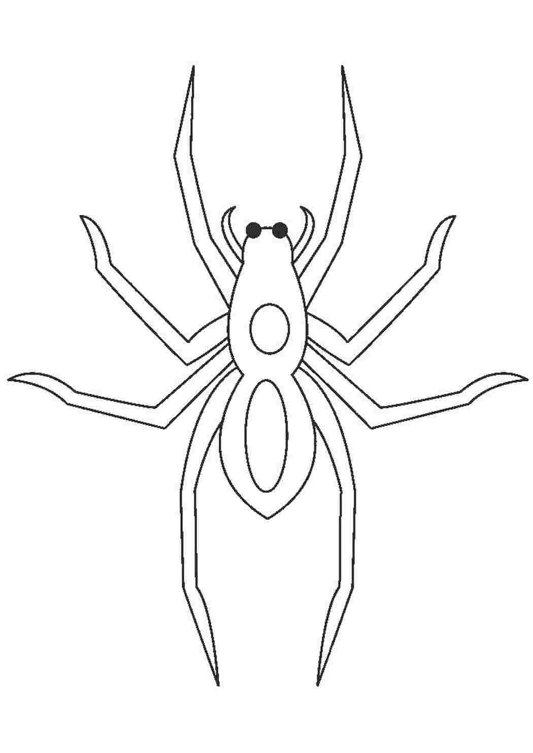 Раскраски Раскраска паук Паук Паук