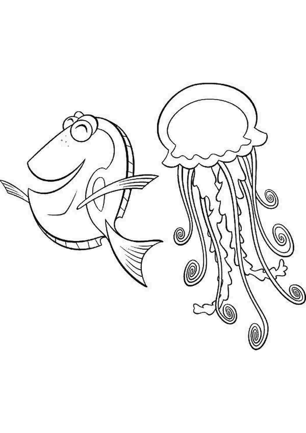 Раскраски Рыба и медуза Морские обитатели морские жители, вода, море, медуза