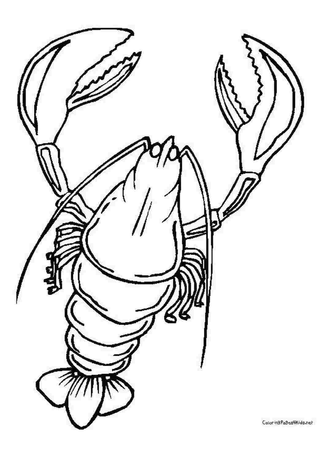 Раскраски Клешни лобстера раскраски Подводный мир