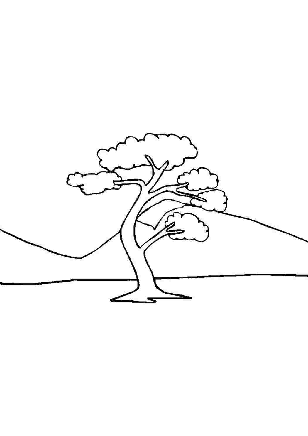 Раскраски Одинокое дерево на фоне гор  растения дерево