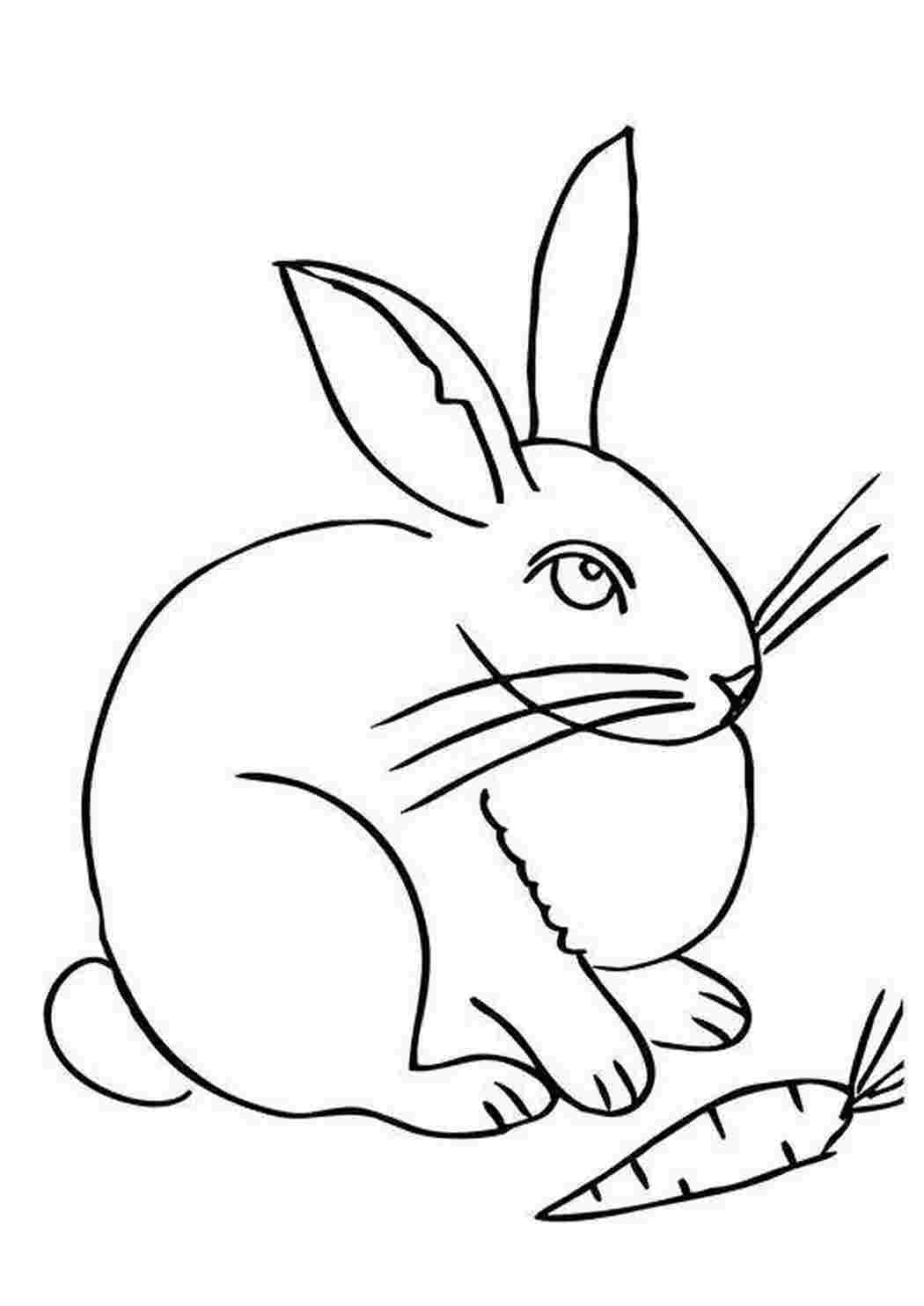Раскраска заяц с морковкой