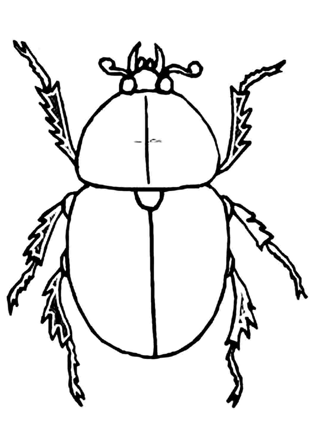 Изображения по запросу Рабочий лист раскрашивания насекомых