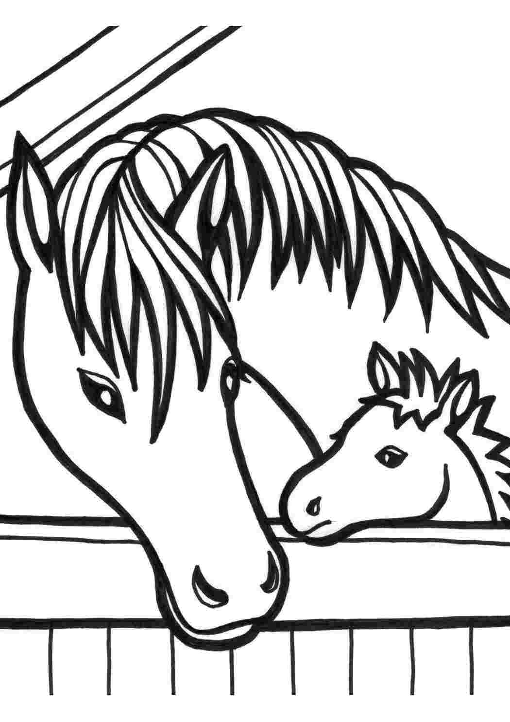 Раскраски Рисунки лошадей Домашние животные Лошадь