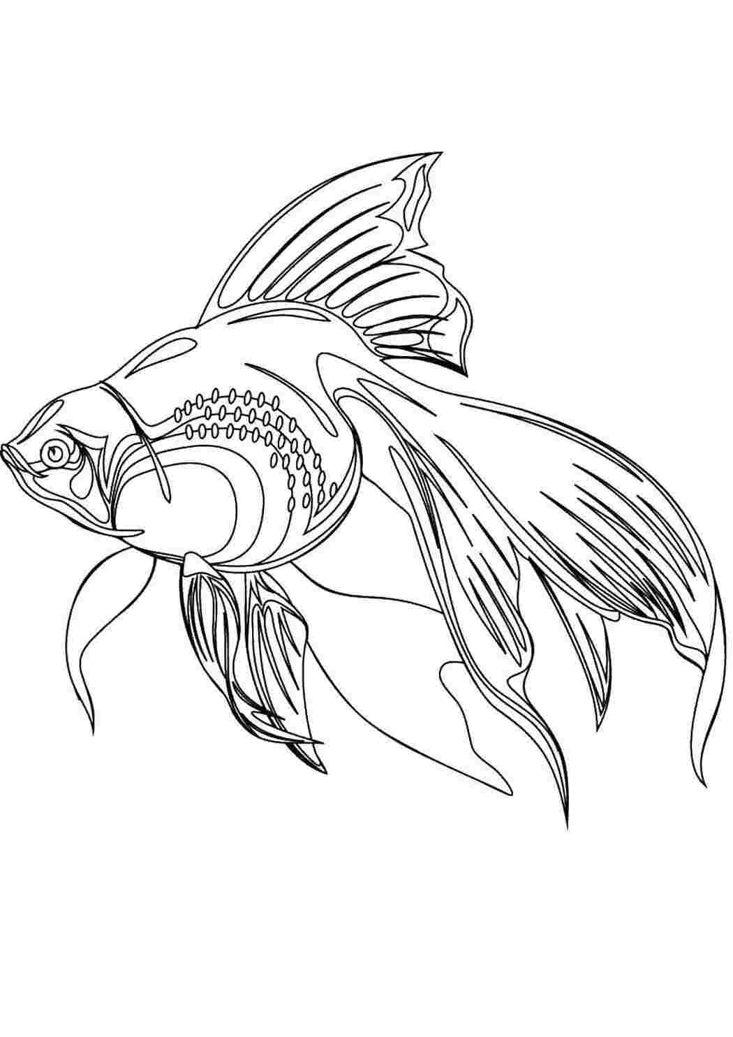 Раскраски Золотая рыбка под водой рыбы Подводный мир, золотая рыбка