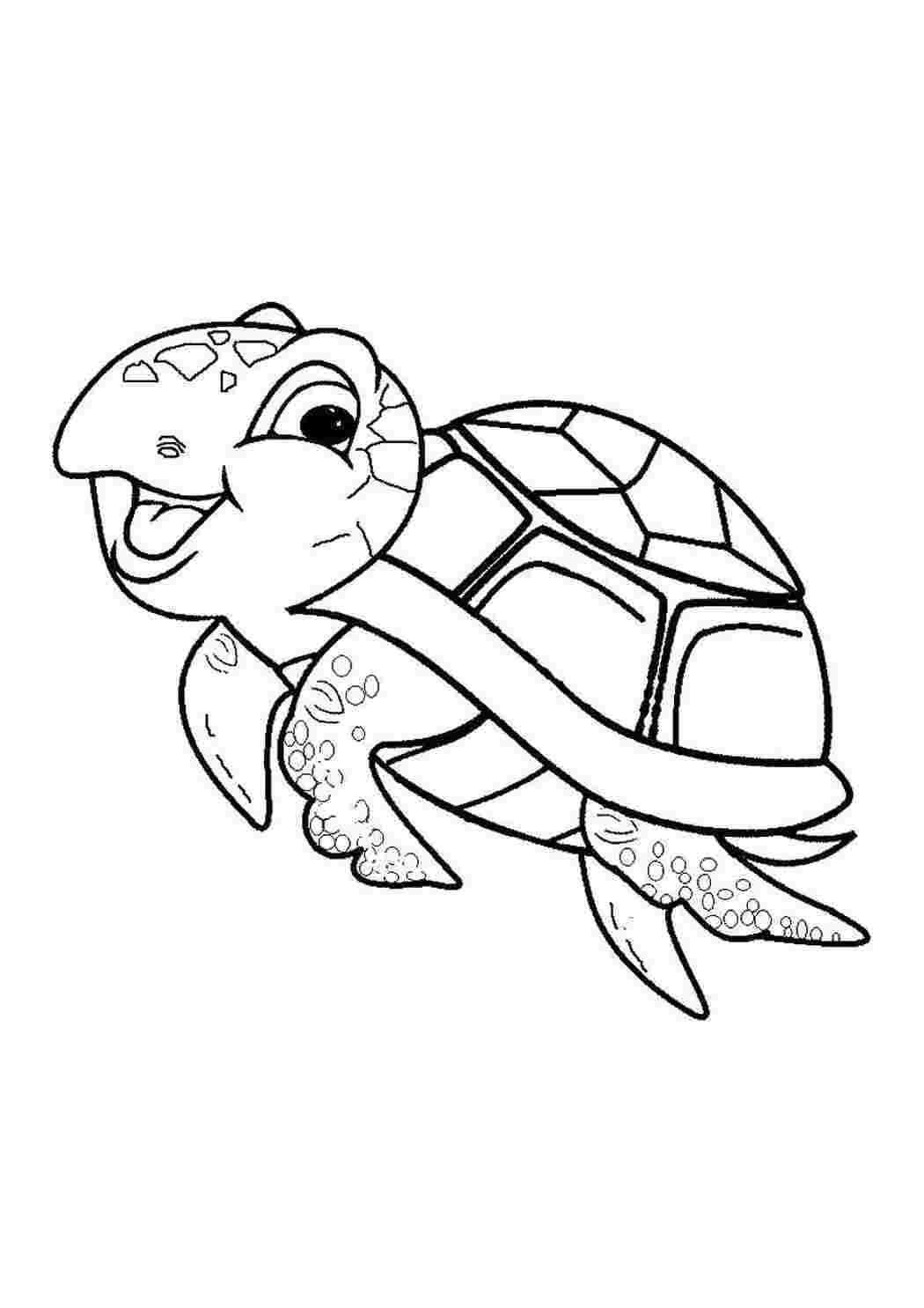 Раскраски Морская черепашка еще очень мала Морская черепаха Рептилия, черепаха