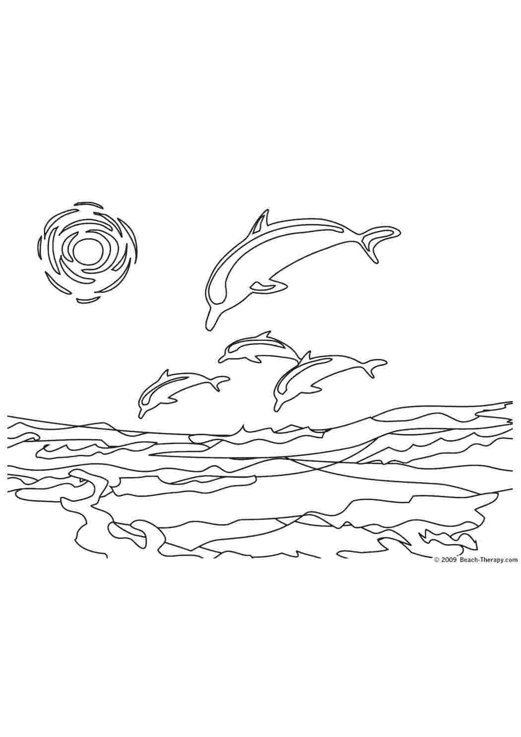 морское Подводный мир, дельфин
