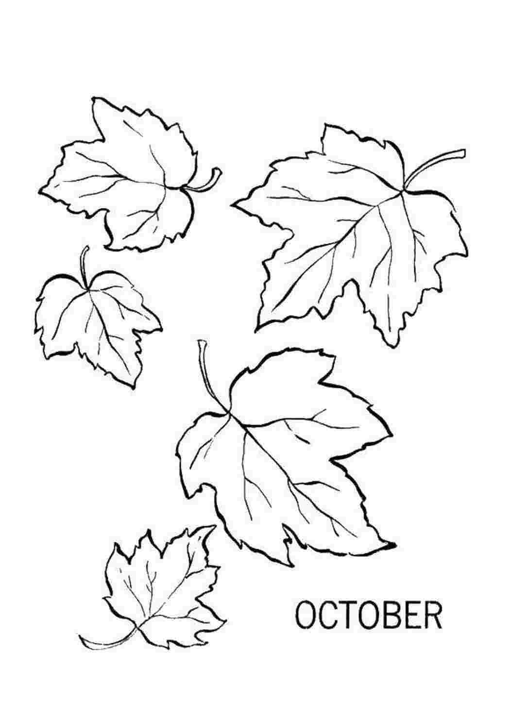 Раскраски Октябрь листия Осенний листопад листия, октябрь
