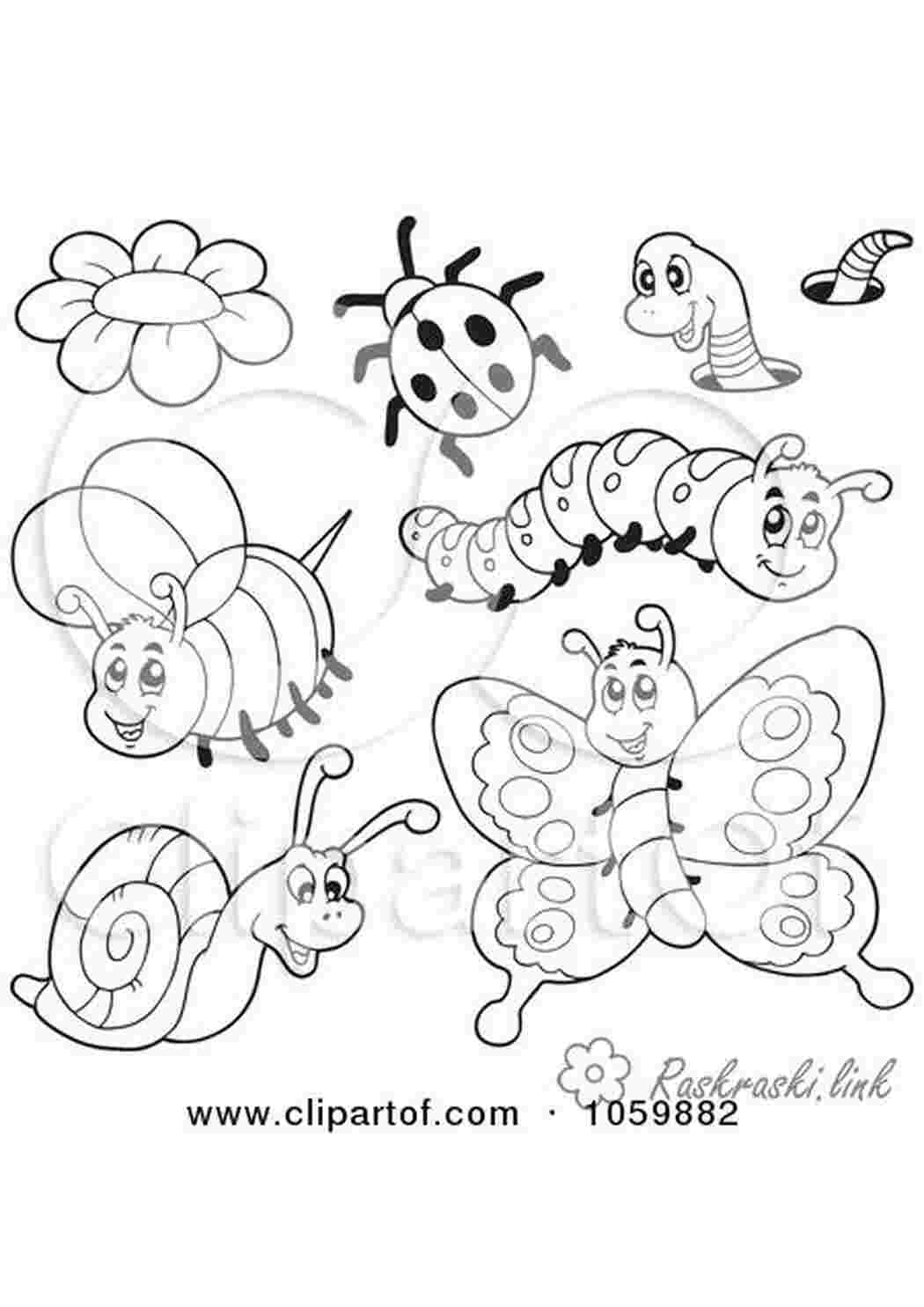 Раскраски насекомых для детей