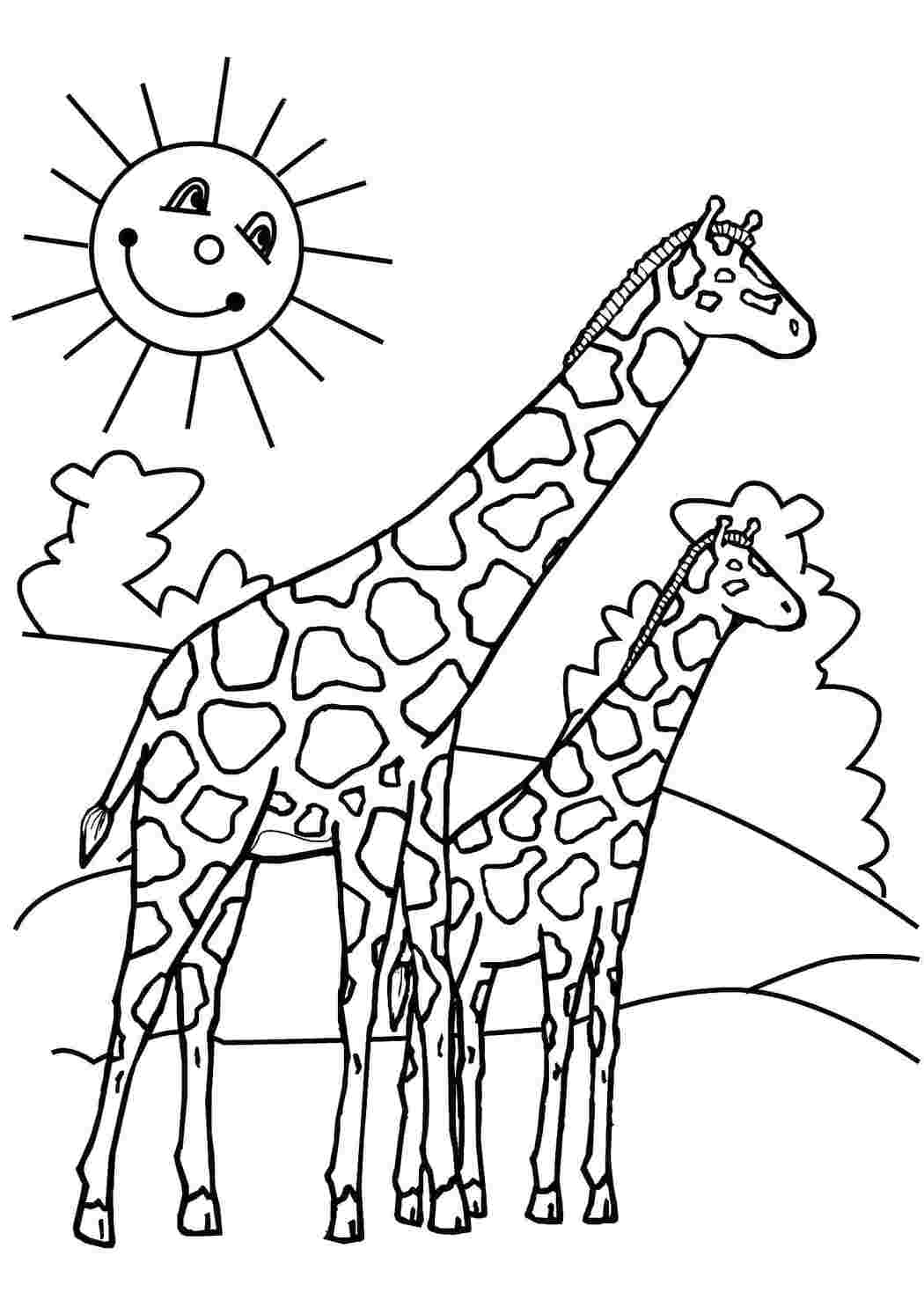 Раскраски Два жирафа дикие животные дикие животные, жирафы