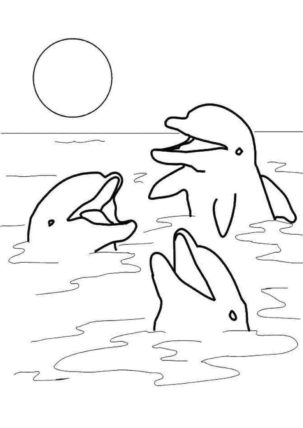 Раскраски Дельфины выглядывают из воды раскраски Подводный мир, дельфин