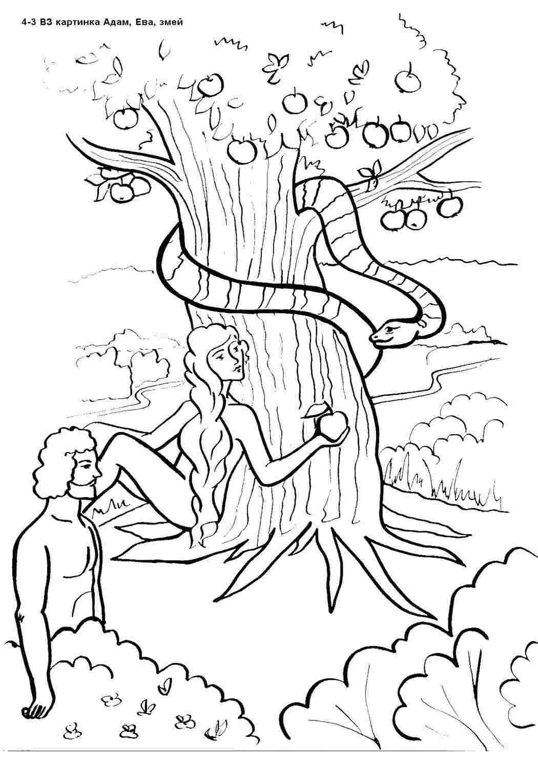 Раскраска «Адам и Ева». №