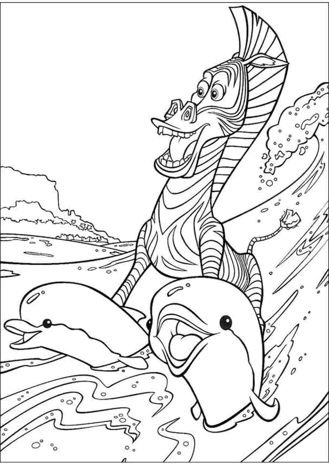 Раскраски Мультфильм Мадагаскар, зебра, дельфины, Зебра Марти катается на дельфинах  