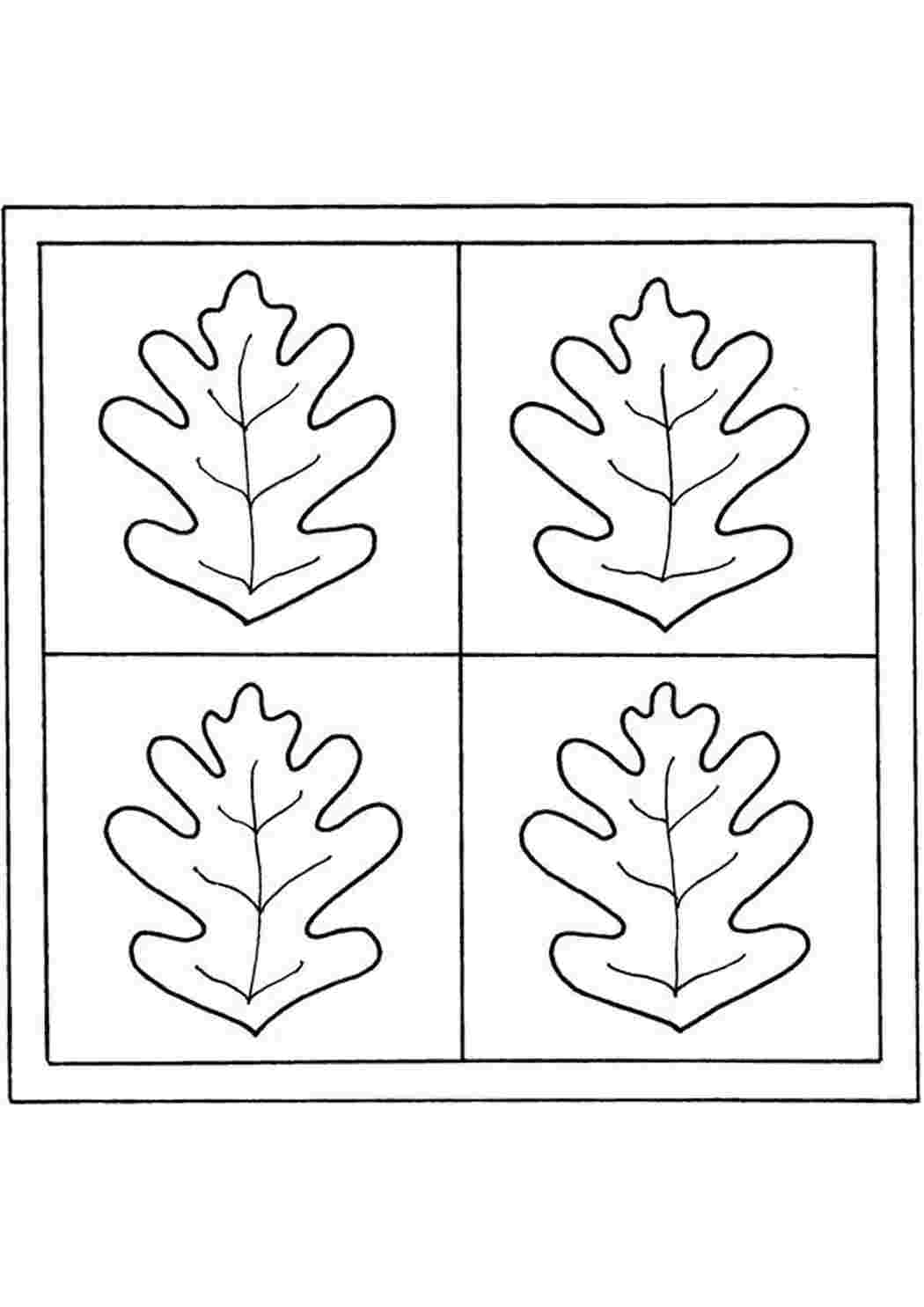 Раскраски лист дуба шаблон - Домашние растения ... Лист Дерева Раскраска растения лист
