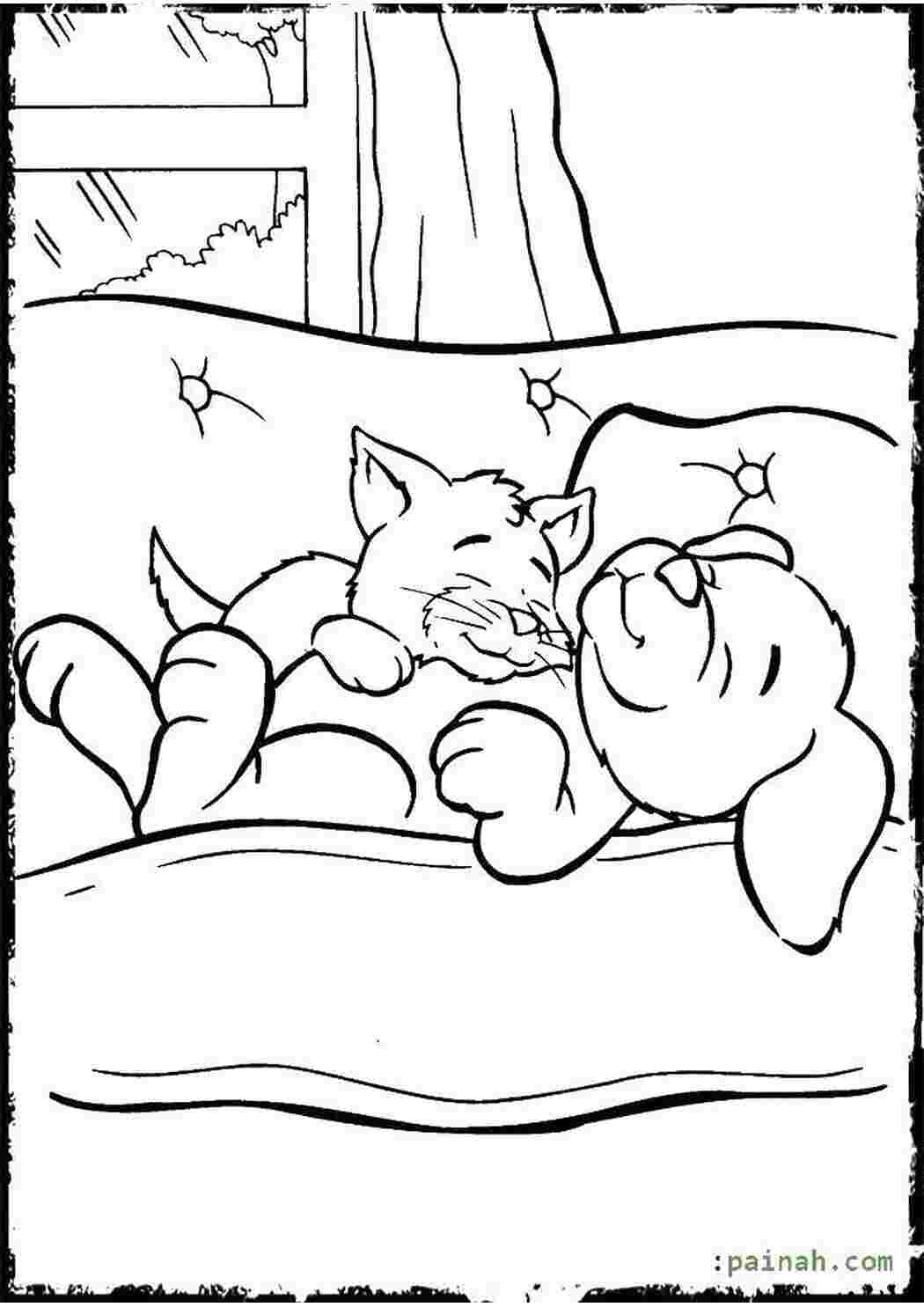 Раскраски Котёнок спит на щенке Животные Животные, котёнок, щенок